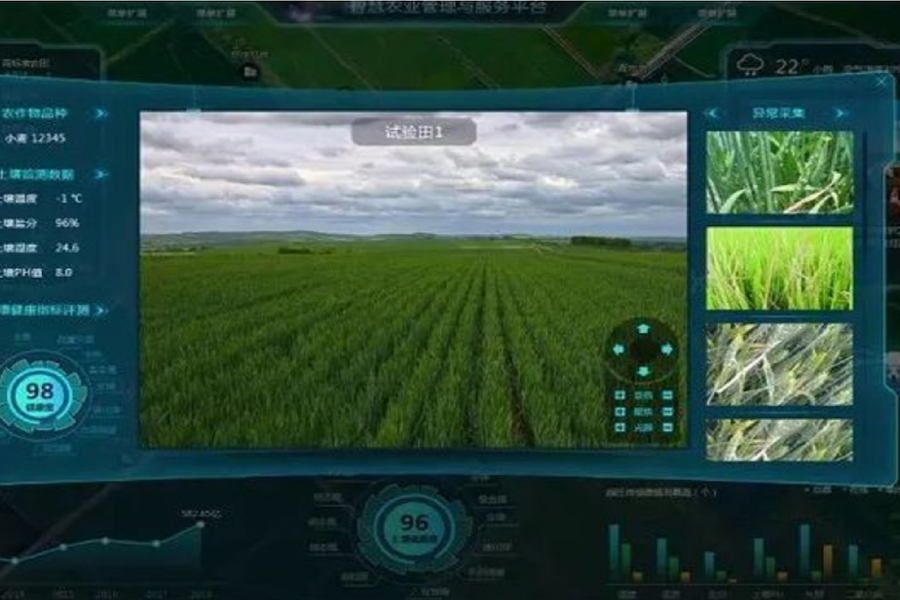 农田作物监测卫星影像